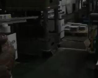 擺臂4軸、5軸機(jī)械手